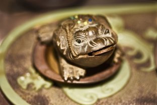 Amulet-wealth luck and frog
